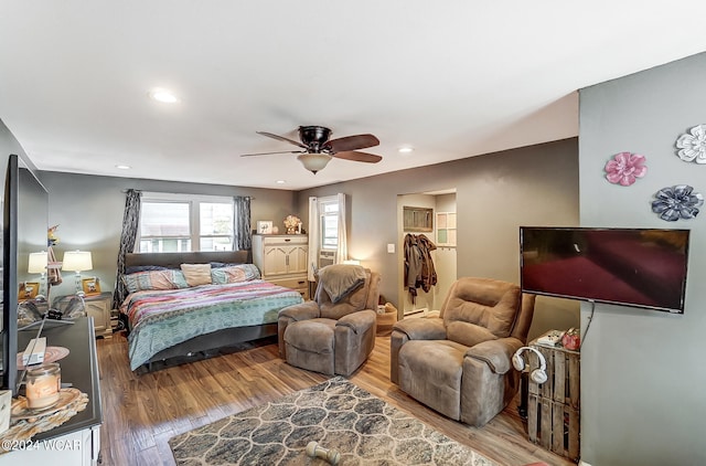 bedroom featuring a spacious closet, a closet, ceiling fan, and wood-type flooring