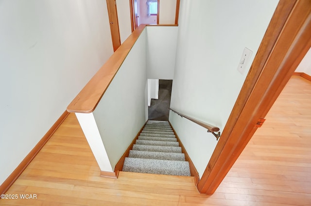 stairs with wood-type flooring