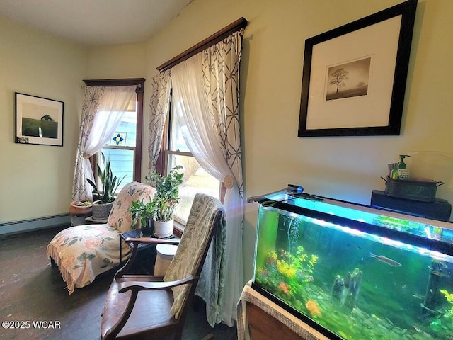 sitting room with a baseboard heating unit