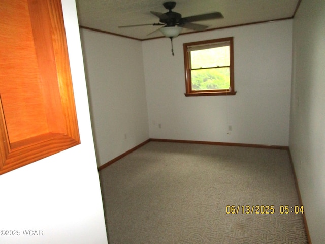 16255 Elevator Rd, Street, Forest, OH 45843 - spare room featuring ceiling fan and carpet floors