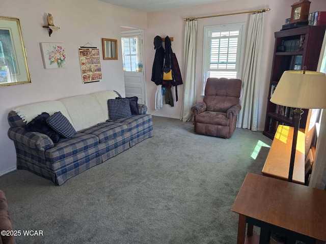 664 Cortlandt Ave, Lima, OH 45801 - living area with baseboards and carpet flooring