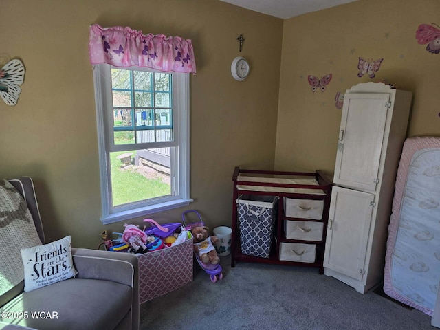 664 Cortlandt Ave, Lima, OH 45801 - carpeted bedroom with multiple windows