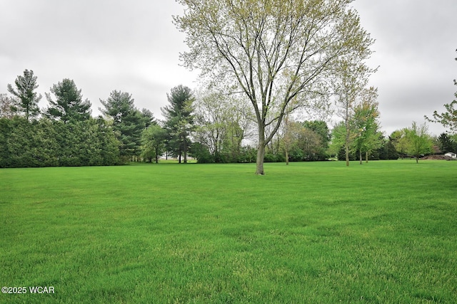 view of yard