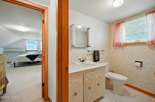 1317 Melrose St, Lima, OH 45801 - ensuite bathroom with vanity and lofted ceiling
