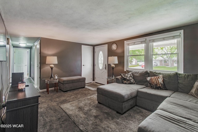 236 Lincoln Dr, Celina, OH 45822 - living area featuring carpet flooring and a textured ceiling
