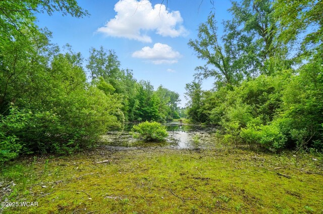 4850 Bowdle Rd, Harrod, OH 45850 - photo 85