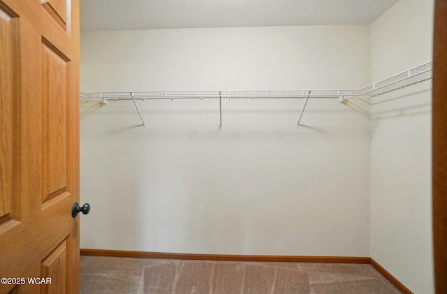 walk in closet with carpet flooring