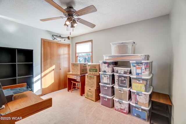 carpeted office space with ceiling fan and a textured ceiling