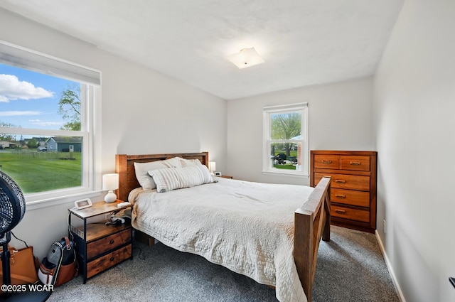 2636 Debbie Dr, Elida, OH 45807 - view of carpeted bedroom