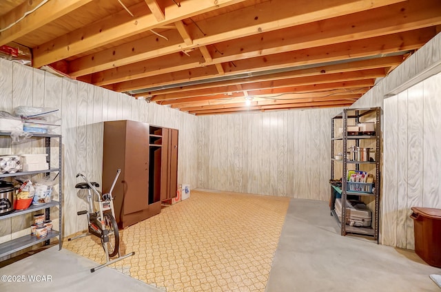 basement with wooden walls