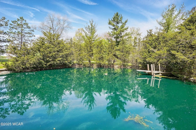 18698 Rd 48, Grover Hill, OH 45849 - water view with a boat dock