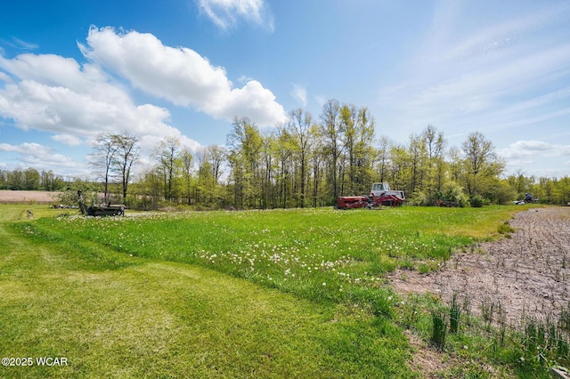 18698 Rd 48, Grover Hill, OH 45849 - view of yard with a view of countryside