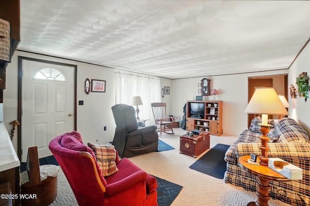 18698 Rd 48, Grover Hill, OH 45849 - carpeted living area featuring healthy amount of natural light and a textured ceiling
