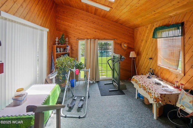 18698 Rd 48, Grover Hill, OH 45849 - workout area with carpet floors, wood walls, a skylight, and wood ceiling
