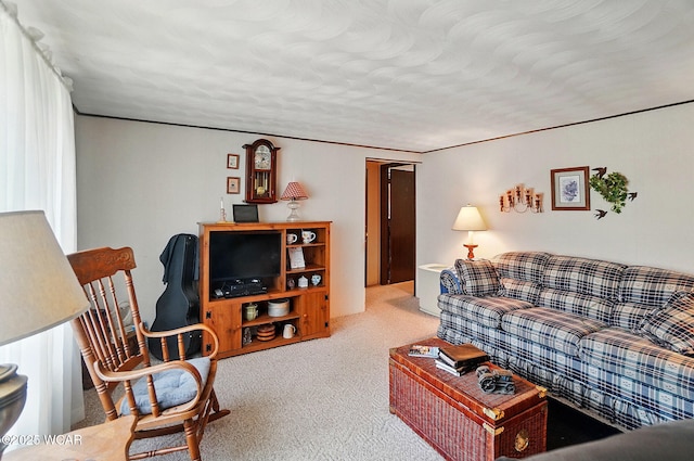 18698 Rd 48, Grover Hill, OH 45849 - living area featuring carpet flooring