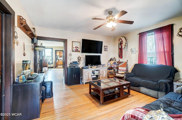 living room with ceiling fan and light hardwood / wood-style floors