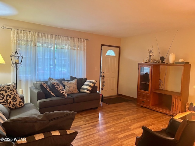 1121 Bahama Dr, Lima, OH 45801 - living room featuring light wood-style floors and plenty of natural light