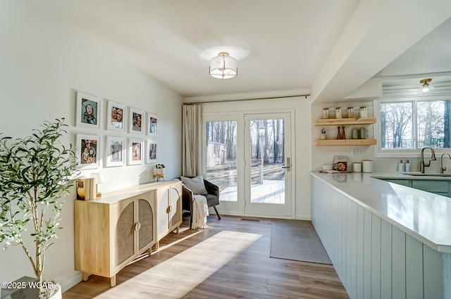 entryway with a sink and wood finished floors