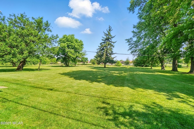 414 W Auglaize St, Wapakoneta, OH 45895 - photo 51