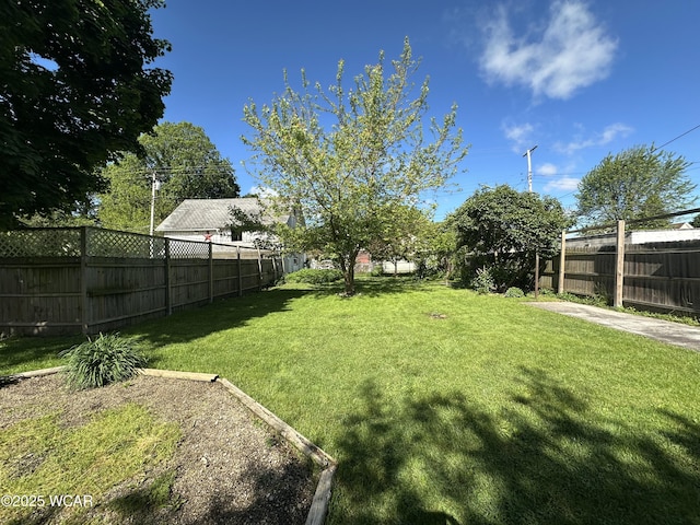 827 N Main St, Fostoria, OH 44830 - view of yard