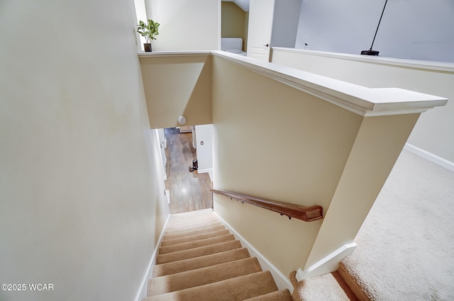 stairway featuring carpet floors