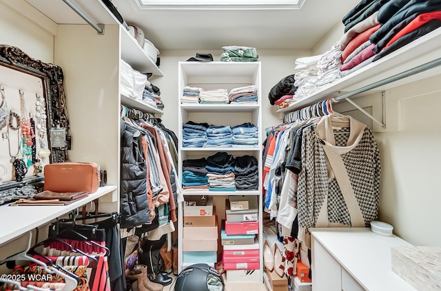 view of walk in closet