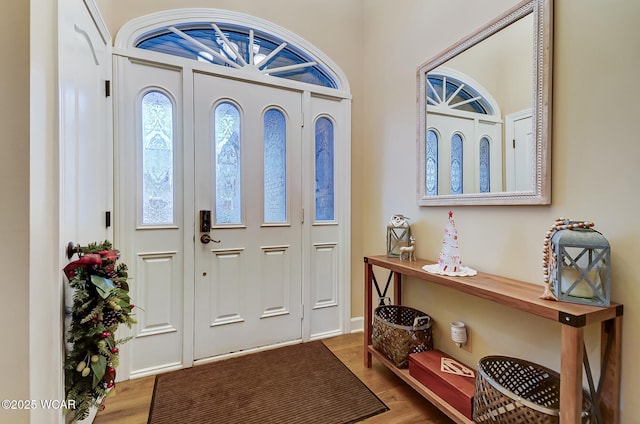 entrance foyer with wood-type flooring