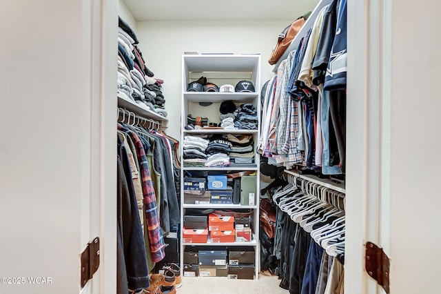 view of walk in closet