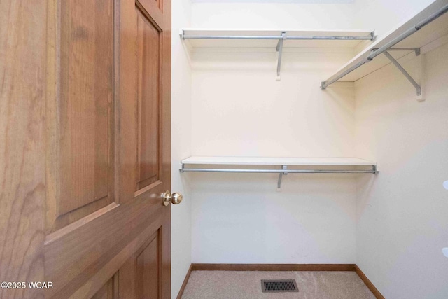 81 Riley Creek Ct, Bluffton, OH 45817 - view of spacious closet