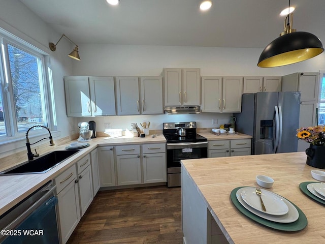 kitchen with a sink, under cabinet range hood, dark wood-style floors, recessed lighting, and stainless steel appliances