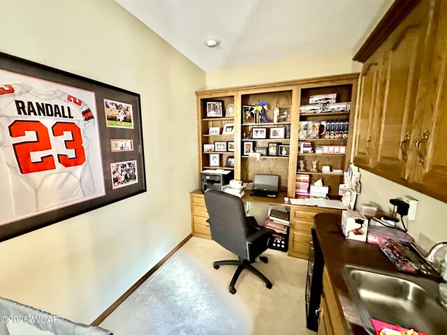 2969 Sands Rd, Lima, OH 45805 - office space featuring a sink, baseboards, and light carpet