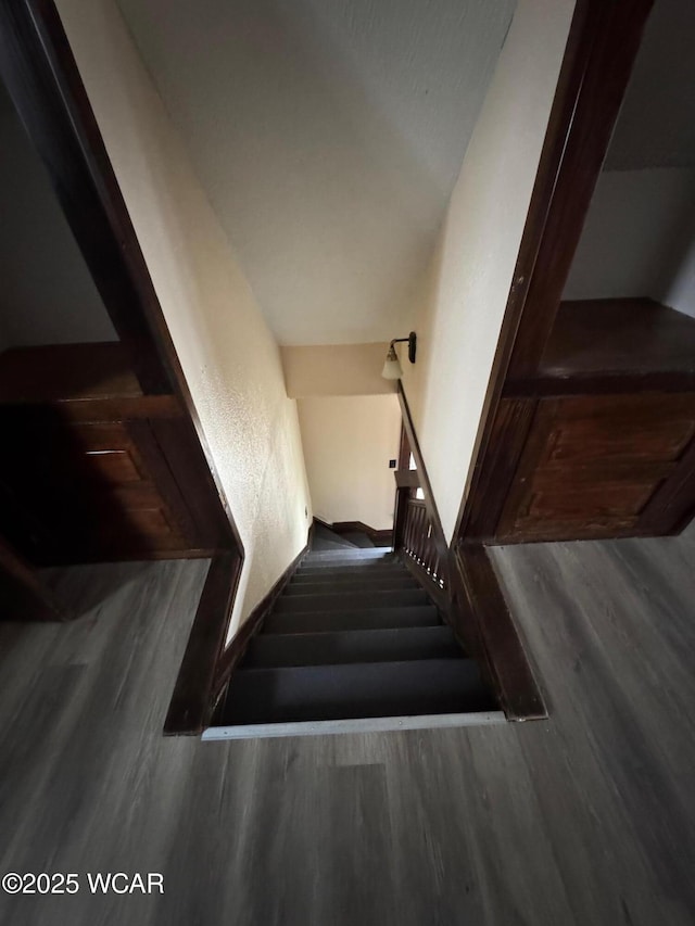 stairway with hardwood / wood-style flooring