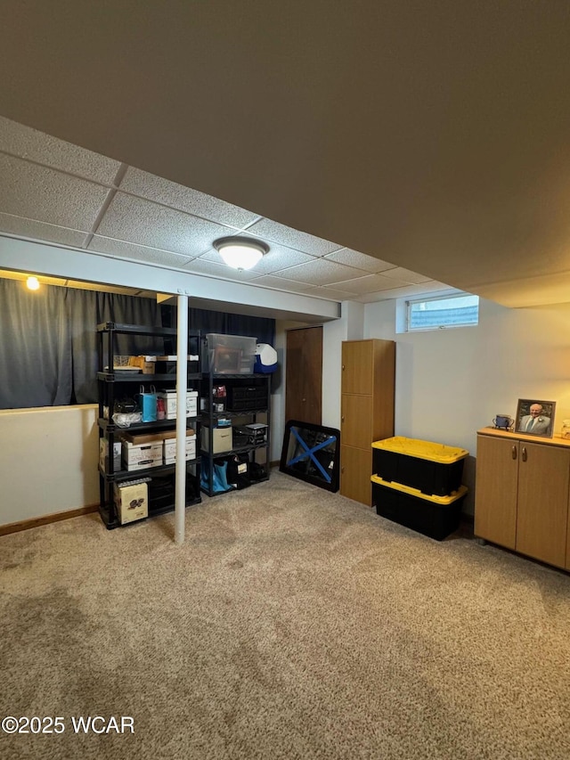 basement with a paneled ceiling and carpet floors