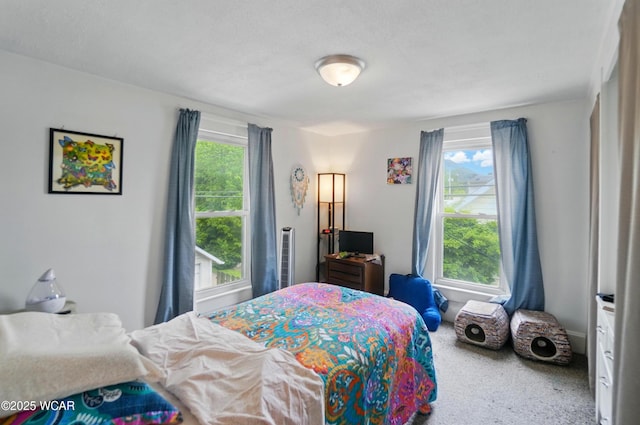 219 W O Connor Ave, Lima, OH 45801 - view of carpeted bedroom