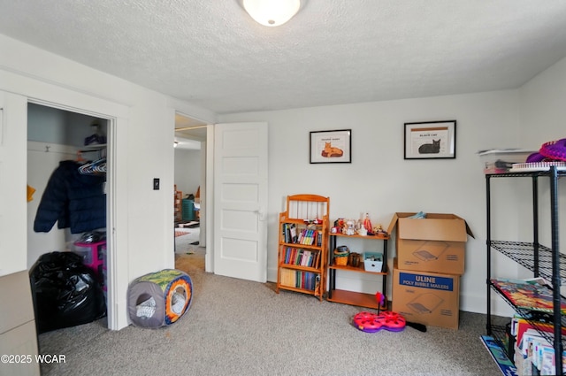 219 W O Connor Ave, Lima, OH 45801 - playroom with carpet floors and a textured ceiling