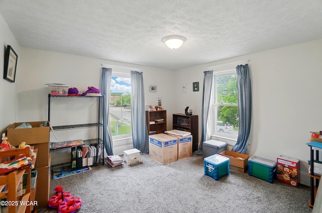 219 W O Connor Ave, Lima, OH 45801 - bedroom with carpet and a textured ceiling