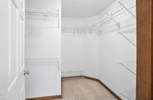 556 Westerly Dr, Lima, OH 45805 - spacious closet with carpet