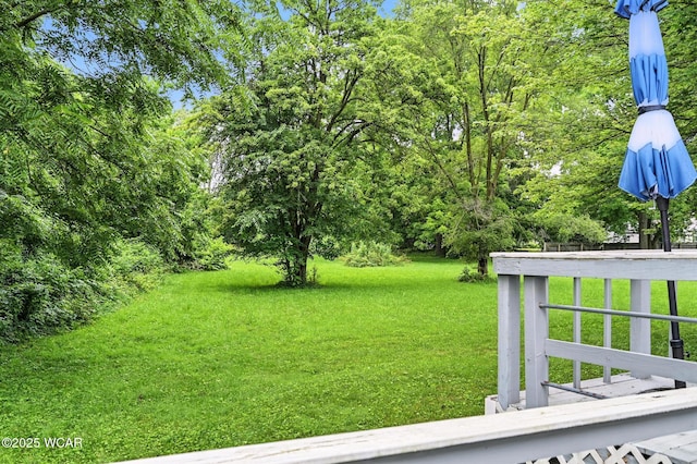 1000 Crystal Meadows Ct, Findlay, OH 45840 - photo 41