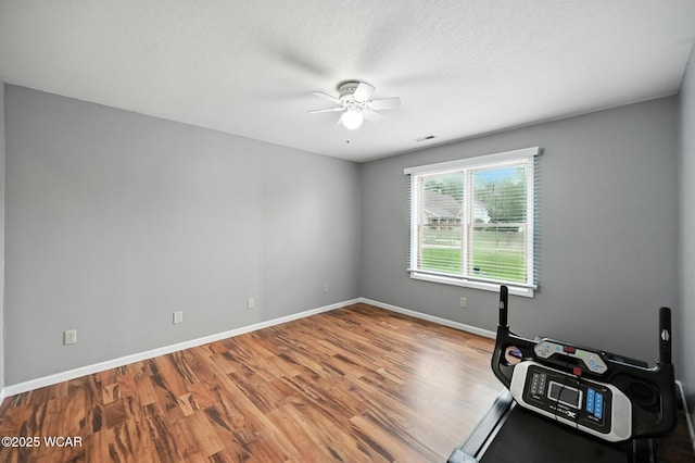 1000 Crystal Meadows Ct, Findlay, OH 45840 - photo 30