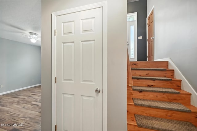 1000 Crystal Meadows Ct, Findlay, OH 45840 - photo 29