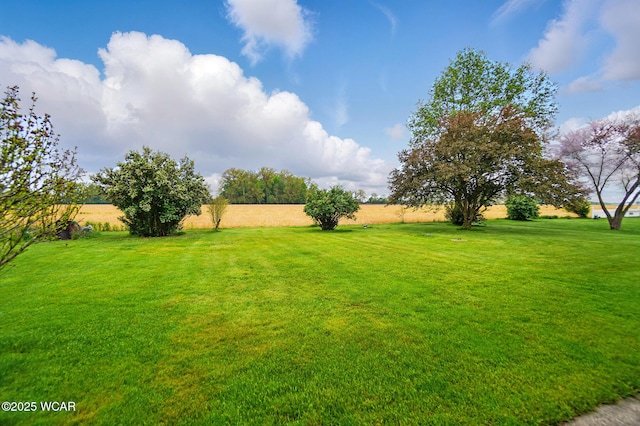 view of grassy yard