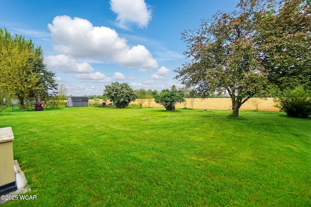 view of yard featuring a storage shed and an outdoor structure