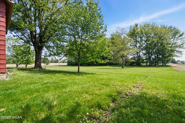 411 W Pattison Ave, Kenton, OH 43326 - view of green lawn