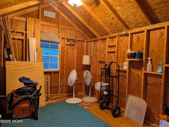 storage featuring ceiling fan