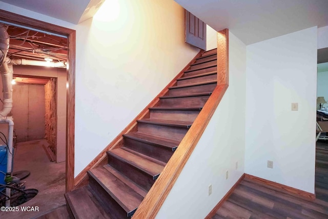 14351 Rd 19, Fort Jennings, OH 45844 - stairs with wood finished floors and baseboards