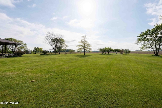 14351 Rd 19, Fort Jennings, OH 45844 - view of grassy yard