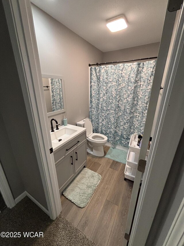 1012 Sherman Ave, Lima, OH 45801 - full bathroom featuring vanity, wood finished floors, and a shower with shower curtain