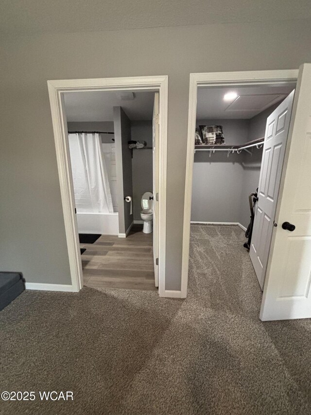 1012 Sherman Ave, Lima, OH 45801 - walk in closet featuring carpet