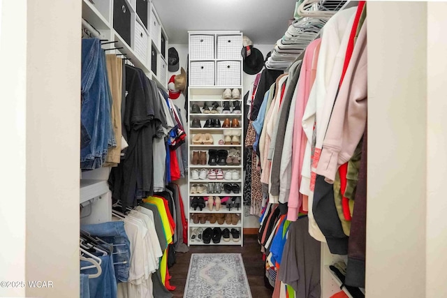 16070 Rd S, Columbus Grove, OH 45830 - walk in closet with wood finished floors