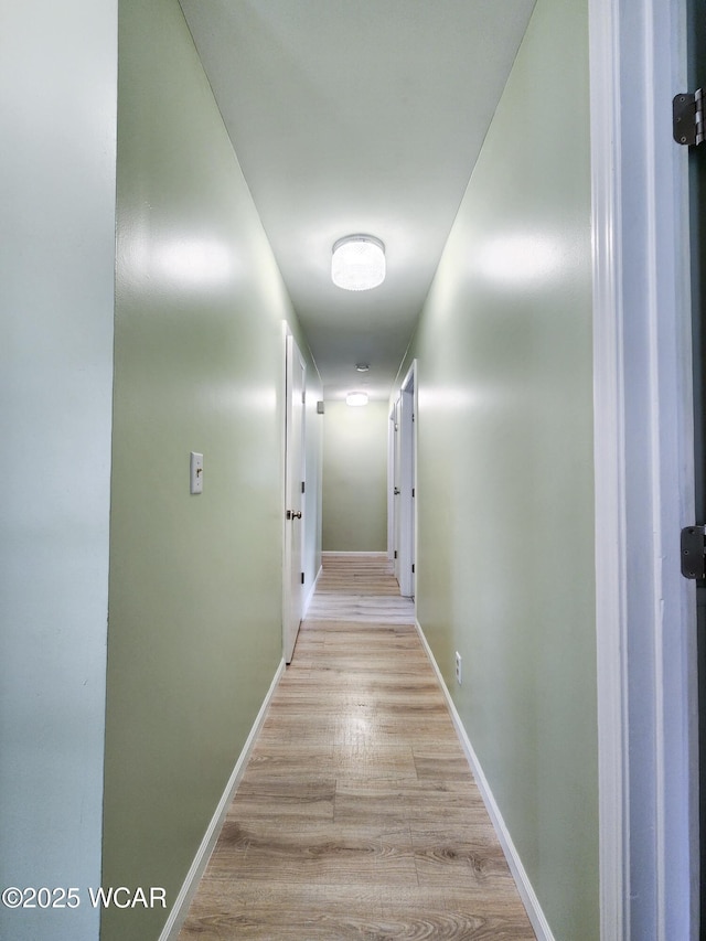 2028 Greendale Ave, Findlay, OH 45840 - corridor with light wood finished floors and baseboards